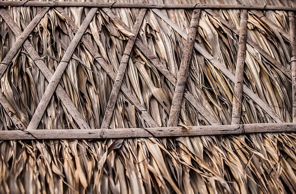 Rieten dak voor traditioneel huis in Azië. achtergrondfoto. — Stockfoto