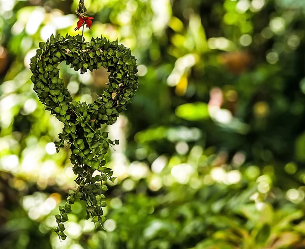 Landscaped flower garden — Stock Photo, Image