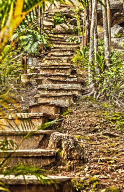 dağ, taş adım yol