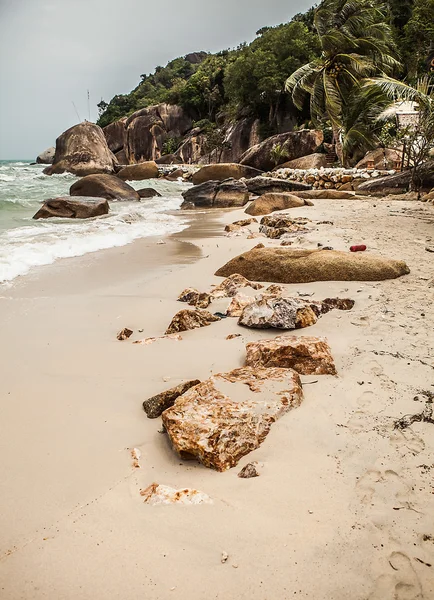 Coast beach — Stockfoto