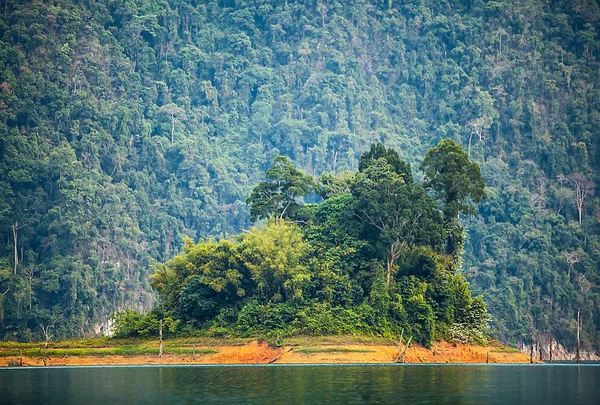 Inselwälder. Südostasien — Stockfoto