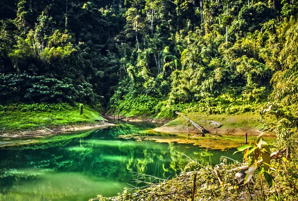 Ostrovy lesů. jihovýchodní Asie — Stock fotografie