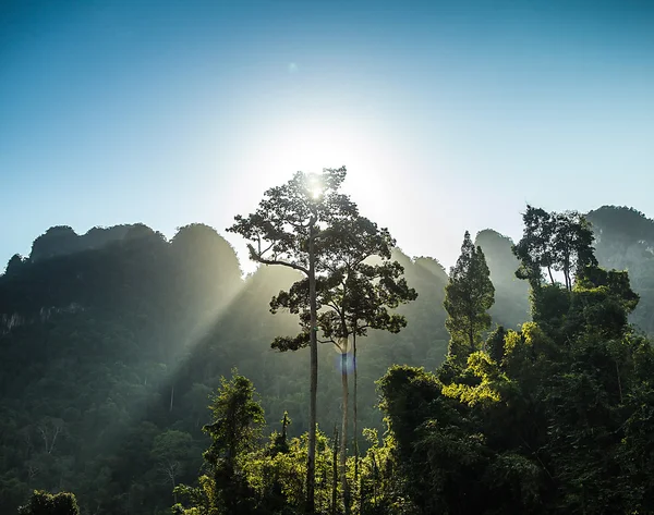 Pedras em Ilhas no Sudeste Asiático — Fotografia de Stock