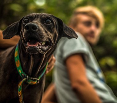 İnsan ve köpeği.