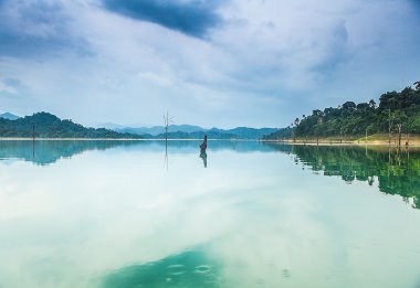tropik ada manzara