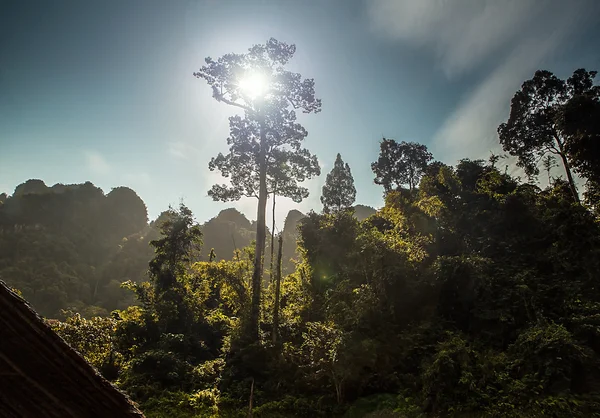 Verbazingwekkende tropische landschap — Stockfoto