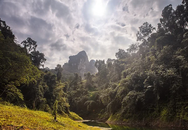 Erstaunliche tropische Landschaft — Stockfoto