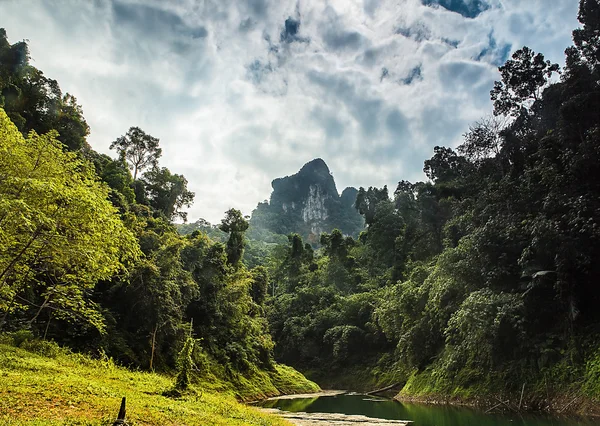 Amazing tropical landscape — Stock Photo, Image