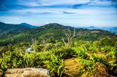 şaşırtıcı tropikal peyzaj
