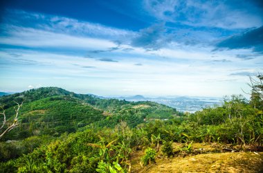 şaşırtıcı tropikal peyzaj