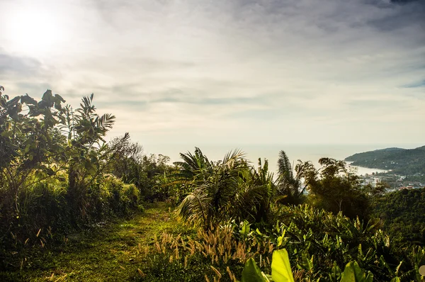 Paisaje de isla tropical con cielo perfecto al amanecer —  Fotos de Stock