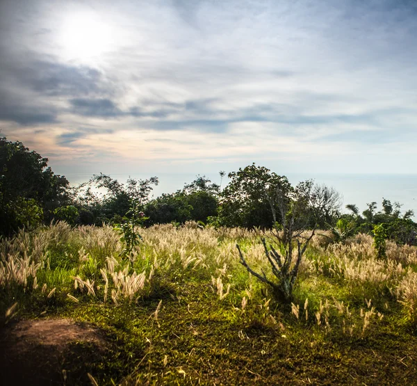 Paisagem de ilha tropical com céu perfeito nascer do sol — Fotografia de Stock