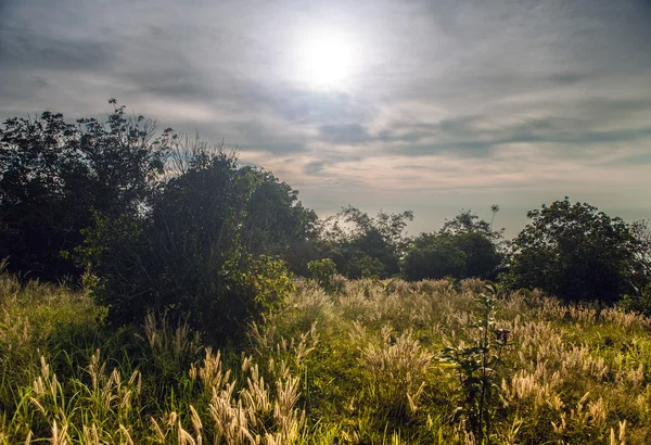 Landschap van tropische eiland met perfecte zonsopgang sky — Stockfoto