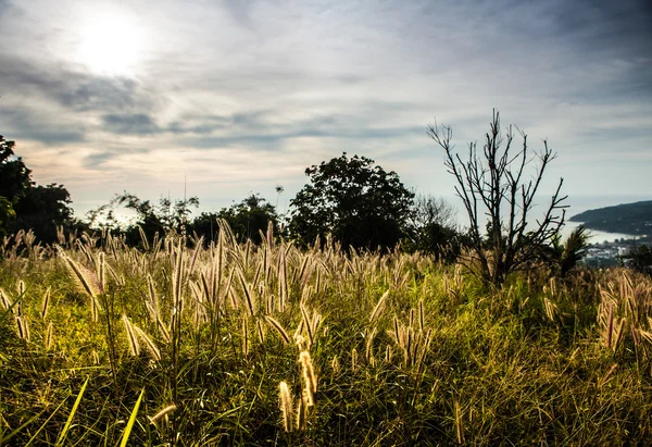 Landskap av tropisk ö med perfekt sunrise himmel — Stockfoto