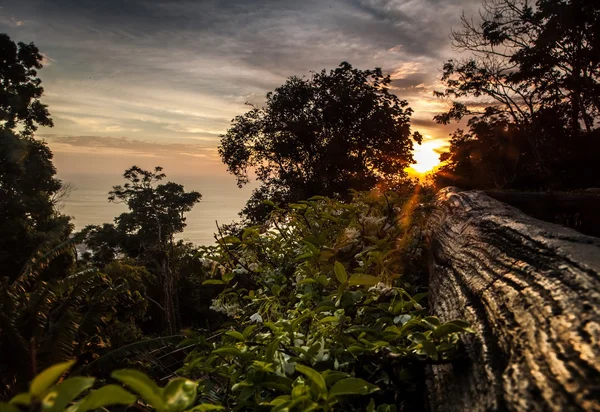 Landskap av tropisk ö med perfekt solnedgång himlen — Stockfoto