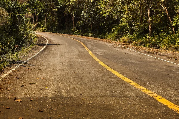 Tropical road — Stock Photo, Image