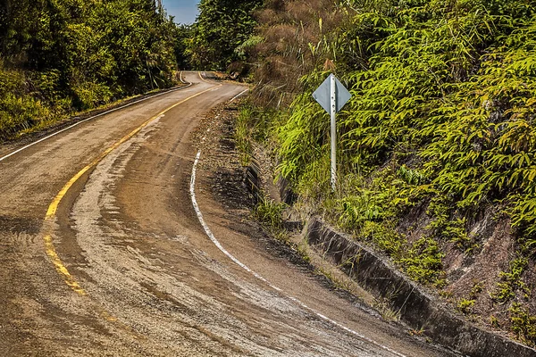 Tropikal yol — Stok fotoğraf