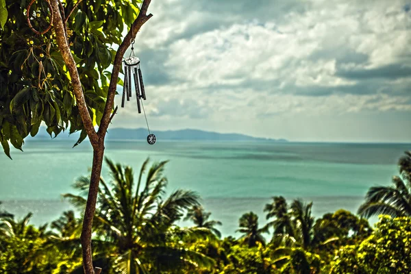 Isla Phangan. Tailandia . — Foto de Stock