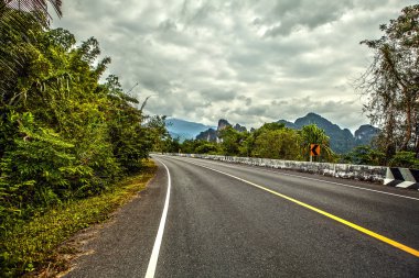 asfalt yol yağmur ormanlarında