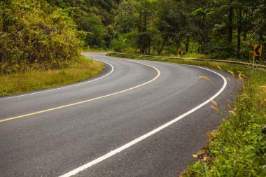 asfalt yol yağmur ormanlarında