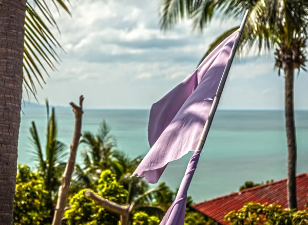 Тропический пляж с флагом — стоковое фото