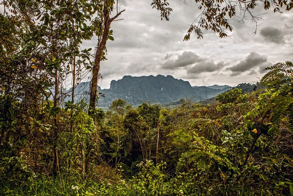 Thaïlande forêt tropicale paysage — Photo