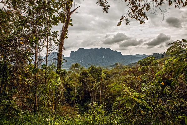 Thailandia foresta pluviale paesaggio — Foto Stock