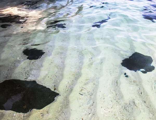 Sea transparent water — Stock Photo, Image