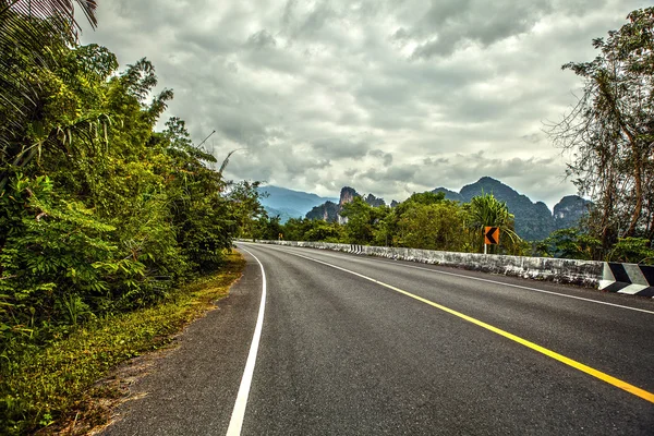 Strada asfaltata nella foresta pluviale — Foto Stock