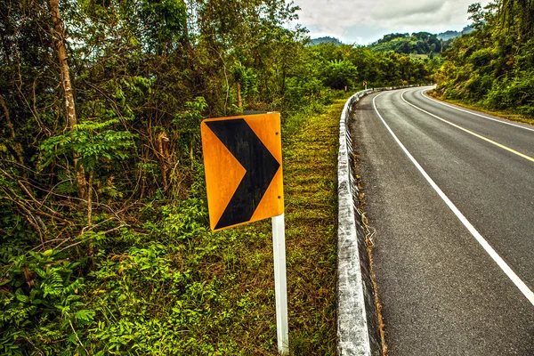 Asfaltová silnice v deštném pralese — Stock fotografie