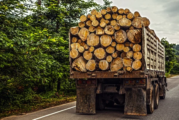 Lastbil som transporterar timmer — Stockfoto