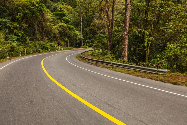 Asphalt road in rainforest — Stock Photo, Image