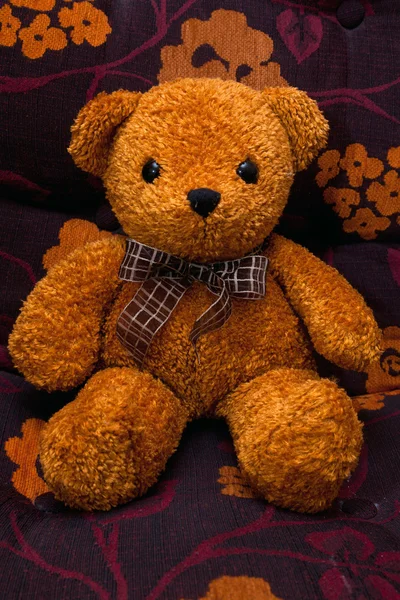 Schattige teddybeer — Stockfoto