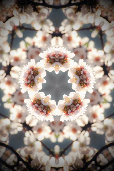 Kaleidoscop — Fotografie, imagine de stoc