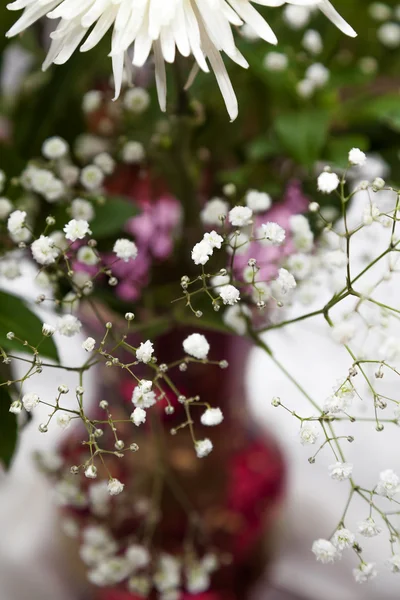 Bukett blommor i en vas — Stockfoto