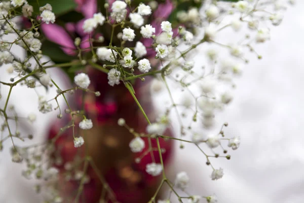 Blumenstrauß in einer Vase — Stockfoto