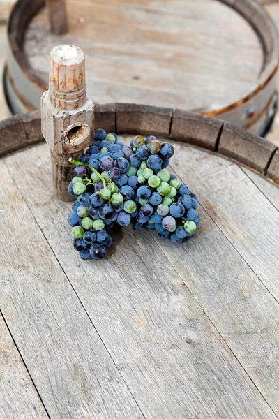 Wine barrel — Stock Photo, Image