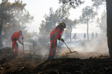 düşük ölçek yangın seich sou forest - Selanik, Yunanistan