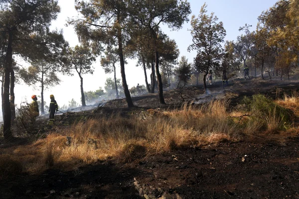 Malé měřítko požár na seich sou forest - thessaloniki, Řecko — Stock fotografie