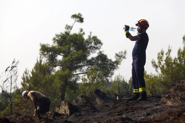 Incendio a baja escala en un bosque de Seich Sou - Tesalónica, Grecia — Foto de Stock