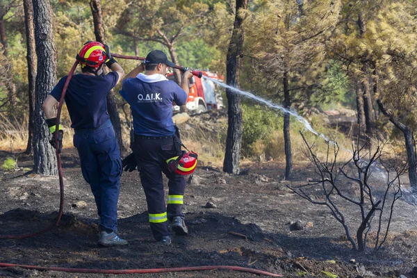 Incendio a baja escala en un bosque de Seich Sou - Tesalónica, Grecia — Foto de Stock