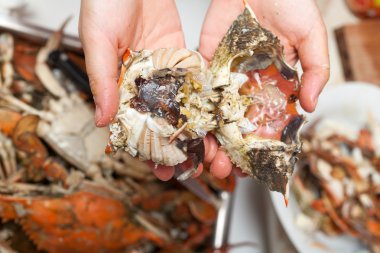 pişmiş mavi yengeç