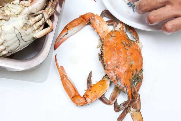 Crabes bleus cuits — Photo