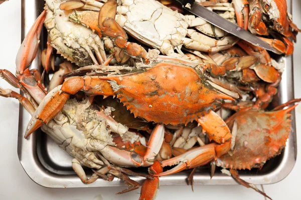 Cooked blue crabs — Stock Photo, Image