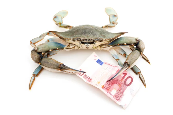 Blue crab holding a banknote — Stock Photo, Image