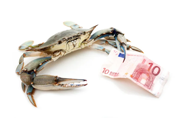 Blue crab holding a banknote — Stock Photo, Image