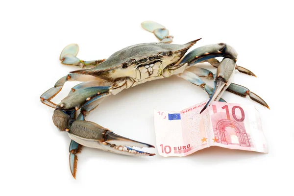 Blue crab holding a banknote — Stock Photo, Image