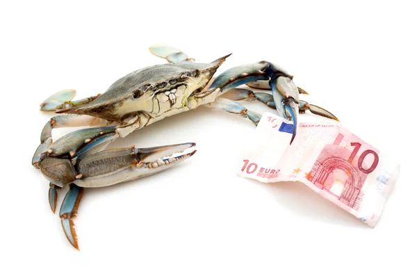 Blue crab holding a banknote — Stock Photo, Image