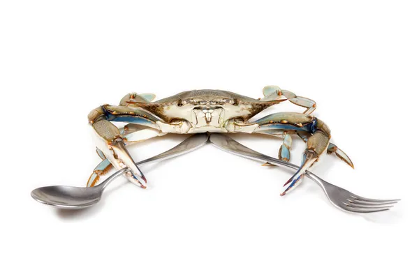 Blue crab on white background with fork and spoon — Stock Photo, Image