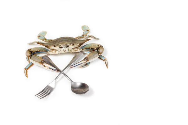 Crabe bleu sur fond blanc avec fourchette et cuillère — Photo